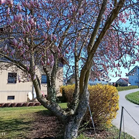 Bodensee Insel Seensucht Reichenau