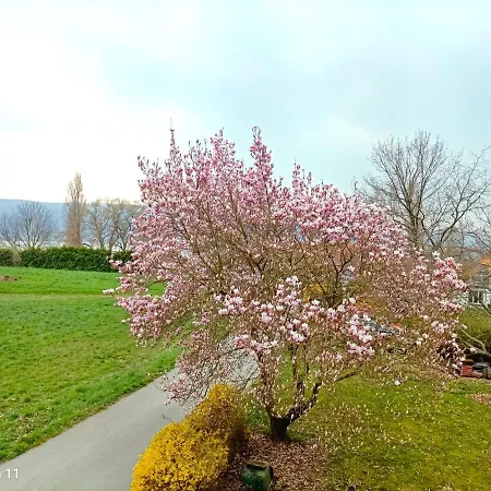 Bodensee Insel Seensucht Appartement *