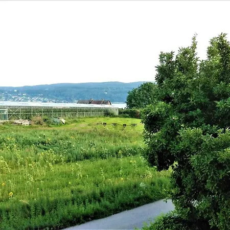 Bodensee Insel Seensucht Apartment Reichenau